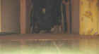 05150A_001.jpg (7639 octets)