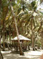Copie de LES SAINTES 23.09.2002 plage de pompierre (d).JPG (172731 octets)