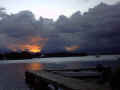 Copie de POINTE A PITRE 31.01.03 �let boissard.JPG (24700 octets)
