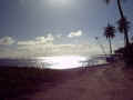 Copie de STA ANNE 15.01.03 plage du bois jolan (2).JPG (31205 octets)