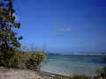 Copie de STE ANNE 16.01.03 plage de bois jolan.JPG (39720 octets)
